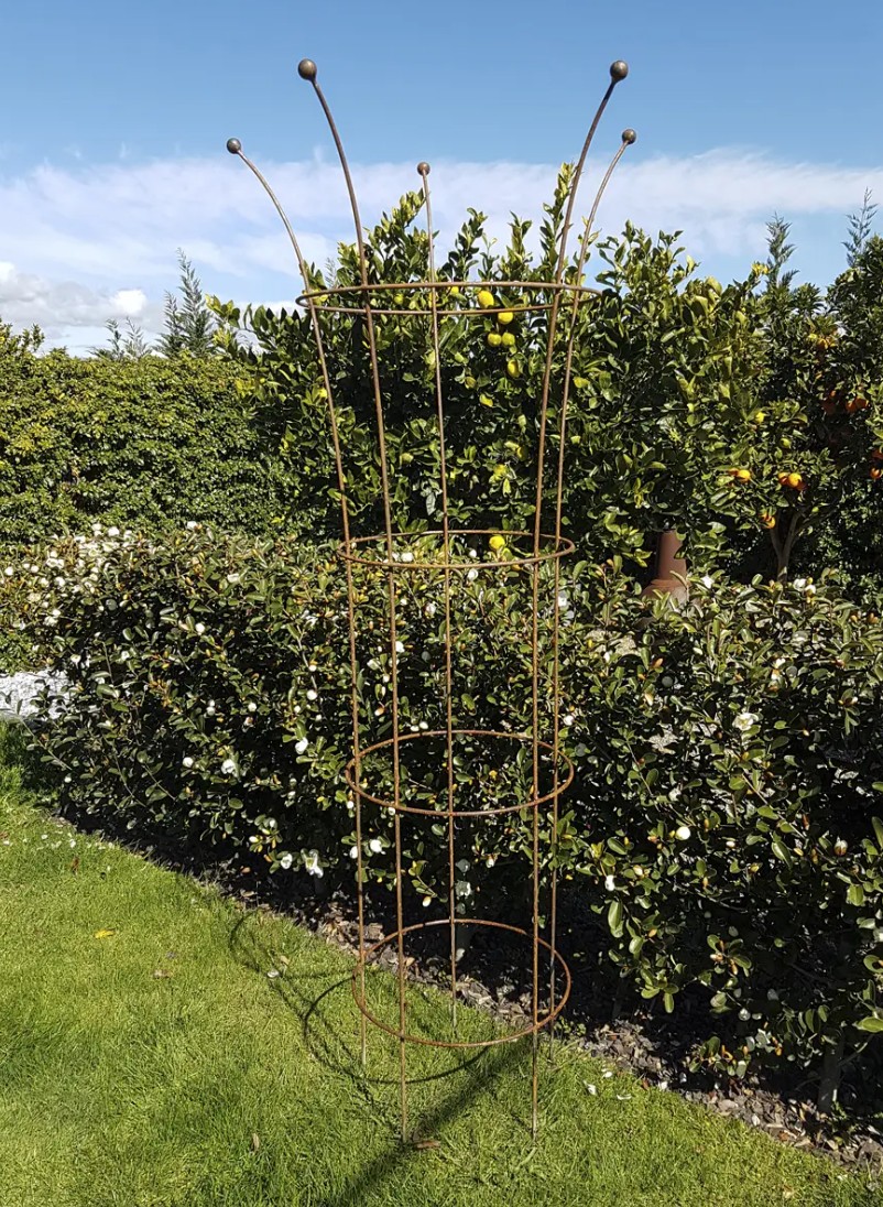 Trumpet Plant Support 3 sizes - Image 3
