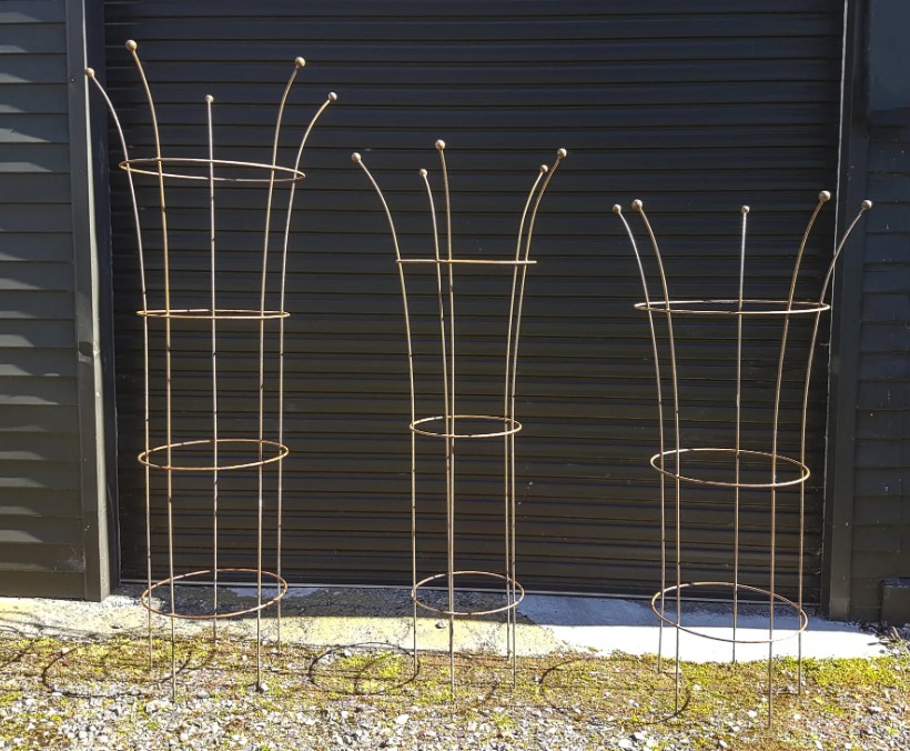 Trumpet Plant Support 3 sizes - Image 5